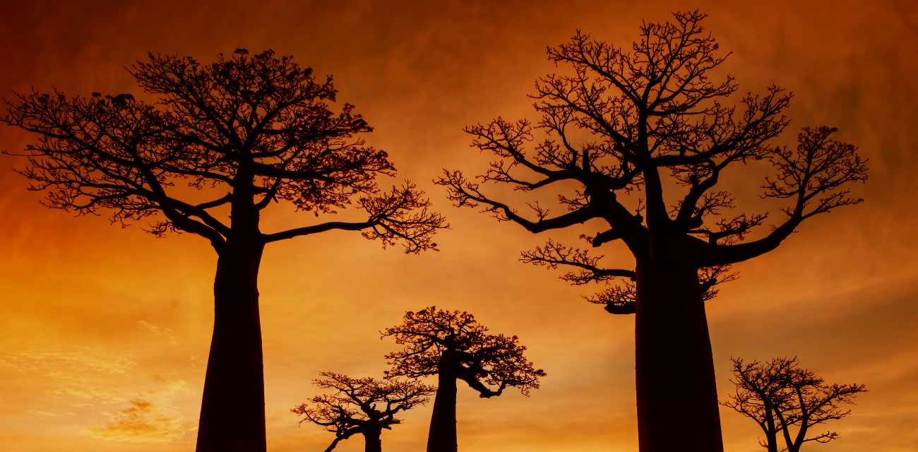 Madagascar