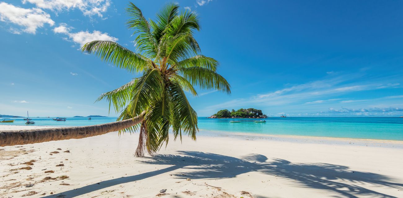 Maldive 